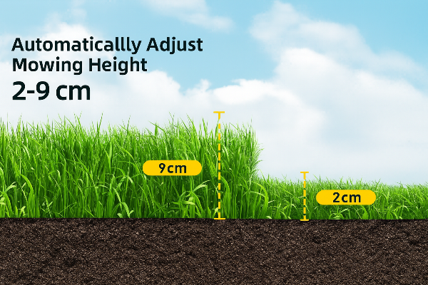 Diagram showing grass with adjustable mowing height from 2 to 9 cm against a blue sky background.