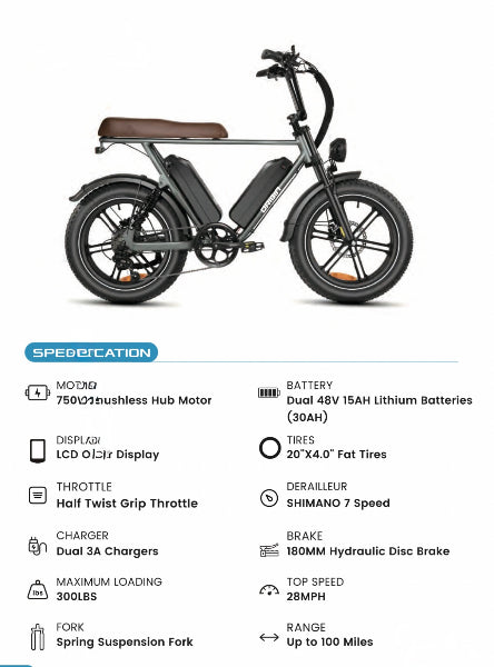 Data Sheet for Cruiser E-Bike