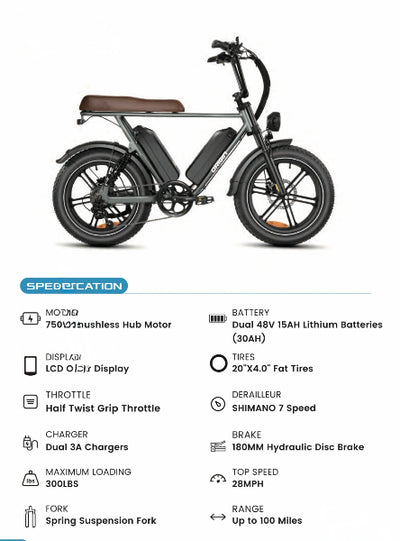 Data Sheet for Cruiser E-Bike