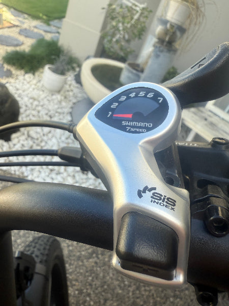 750W Electric Cruiser Bike