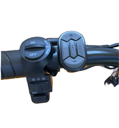 Electric Cruiser Bike - My Tesla Accessories Electric Bike #mytelsaaccessories
