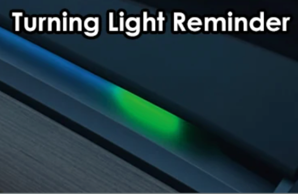 BSD Light strip with a green light indicator and text 'Turning Light Reminder' on a dark background #myteslaaccessoriesau