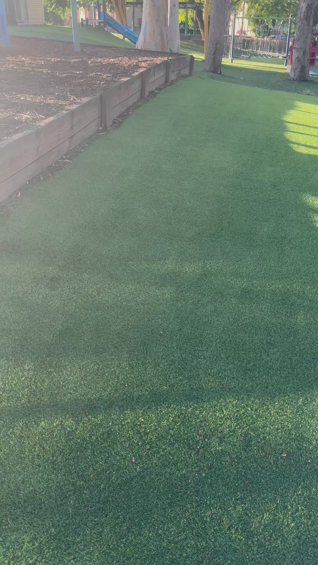 Before and after Sweep of Garland 602W Artifical Lawn Sweeper at work